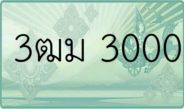 3ฒม 3000